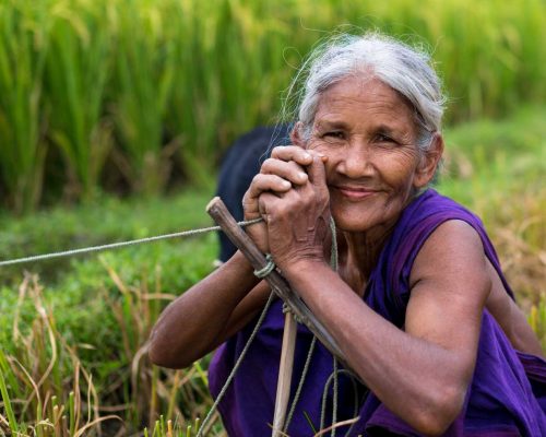 adult-bangladesh-countryside-2321837 adult-bangladesh-countryside-2321837